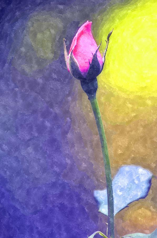 Rose Photograph - The Rose Bud by Image Takers Photography LLC - Carol Haddon