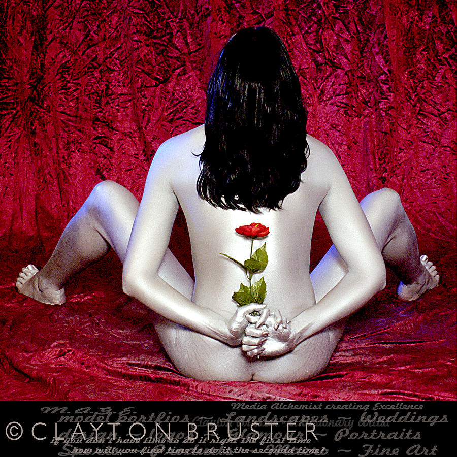The Rose Photograph by Clayton Bruster