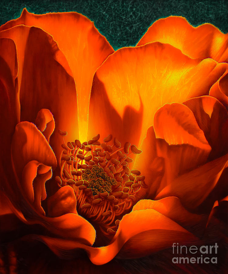 The Rose Painting by Jurek Zamoyski