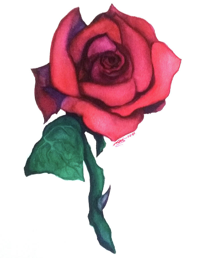 Rose Painting - The Rose by Keith Piccolo