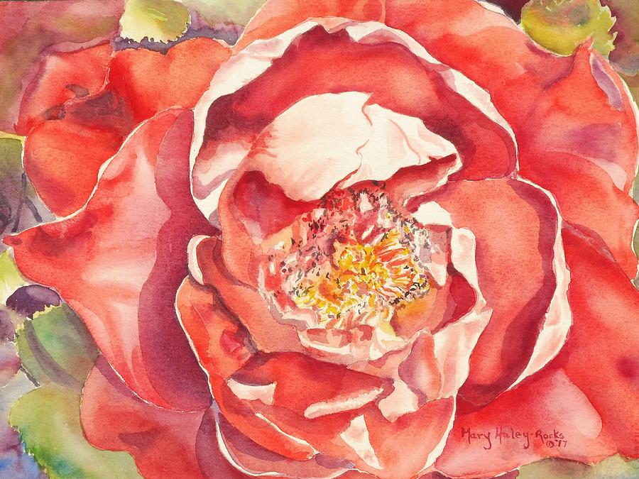 The Rose Painting by Mary Haley-Rocks