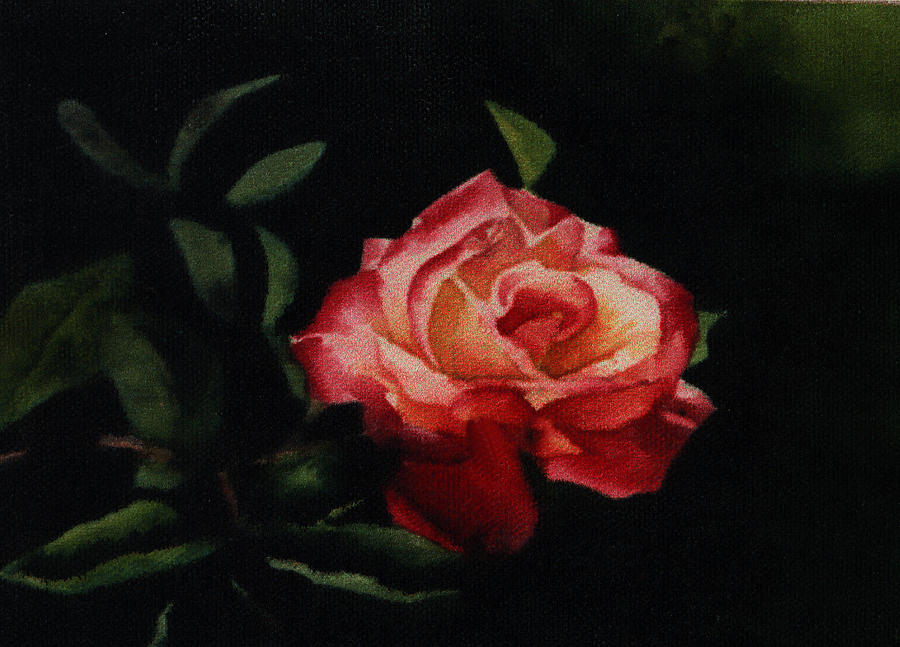 The Rose Painting by Patricia Halstead