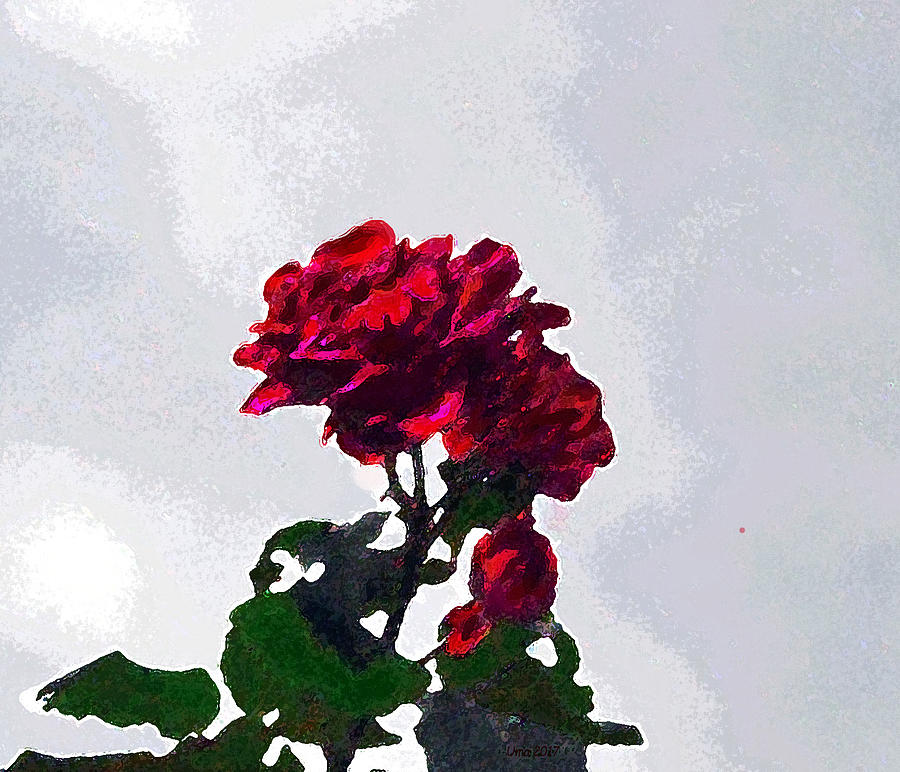 The rose Digital Art by Uma Krishnamoorthy