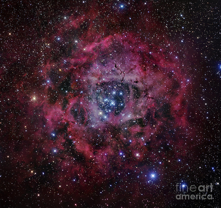 Space Photograph - The Rosette Nebula by Robert Gendler