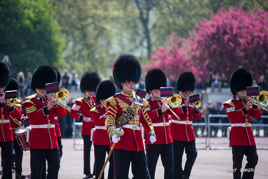 The Royal March Photograph by Walt  Baker