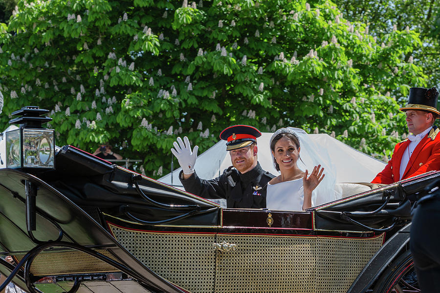 The Royal Wedding Harry Meghan by Andy Myatt The Royal Wedding Harry Meghan by Andy Myatt