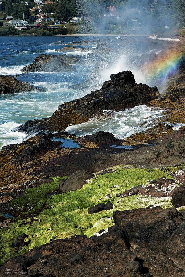 The Rugged Beauty Of The Oregon Coast - 2 Photograph by Hany J