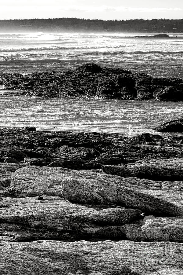 Beach Photograph - The Rugged Coast of Maine by Olivier Le Queinec