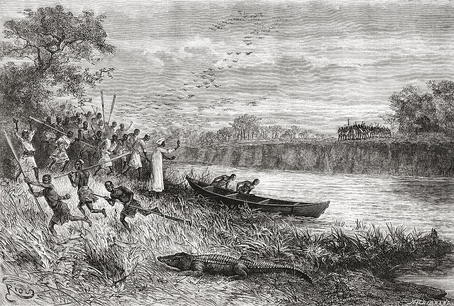 Crocodile Drawing - The Ruhaha River, Tanzania, Central by Vintage Design Pics