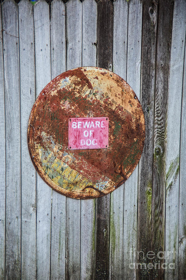 The Rusty Sign Photograph by Carolyn Fox - Fine Art America