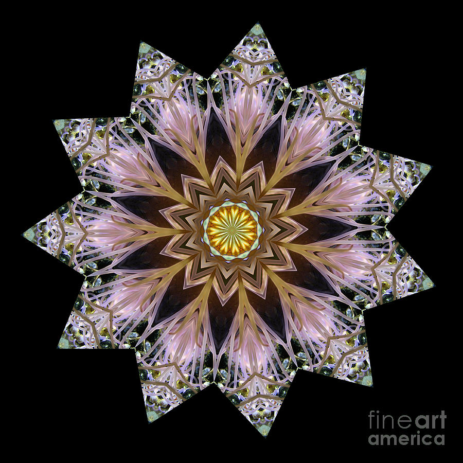 The Sacred Art of the Mandala Photograph by Wernher Krutein