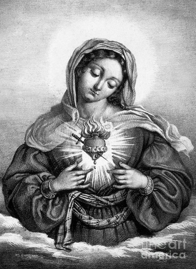 Madonna Drawing - The Sacred Heart of Mary by French School