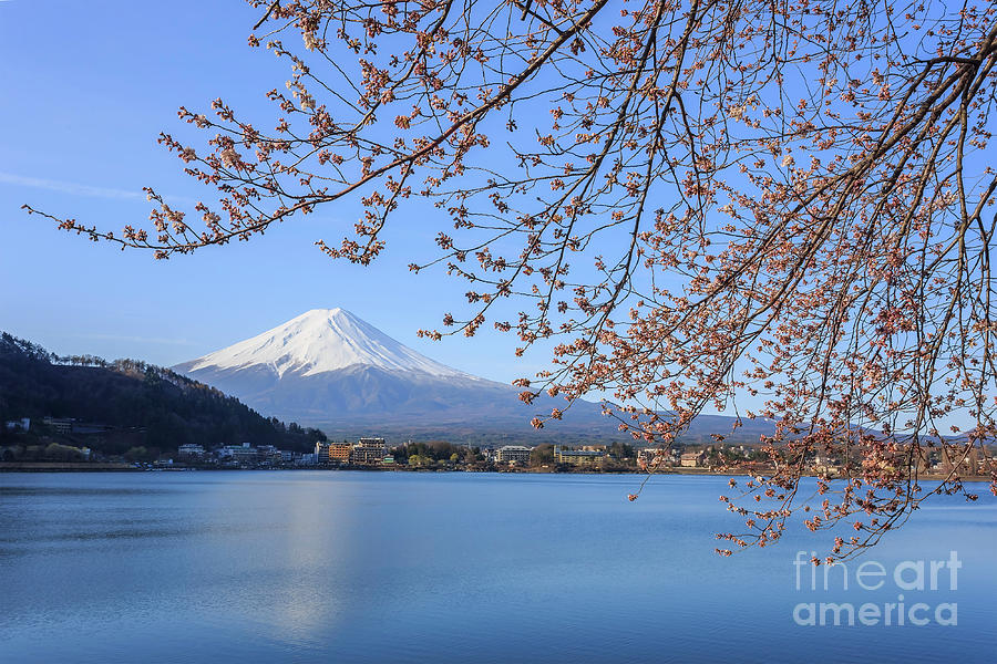 The Sacred Mountain - Mt. Fuji At Japan Photograph