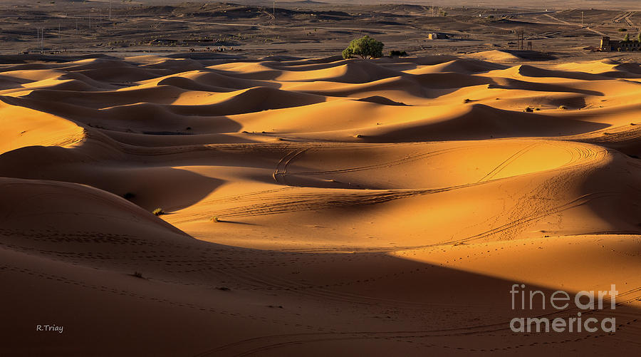 The Sahara Dunes Photograph by Rene Triay FineArt Photos