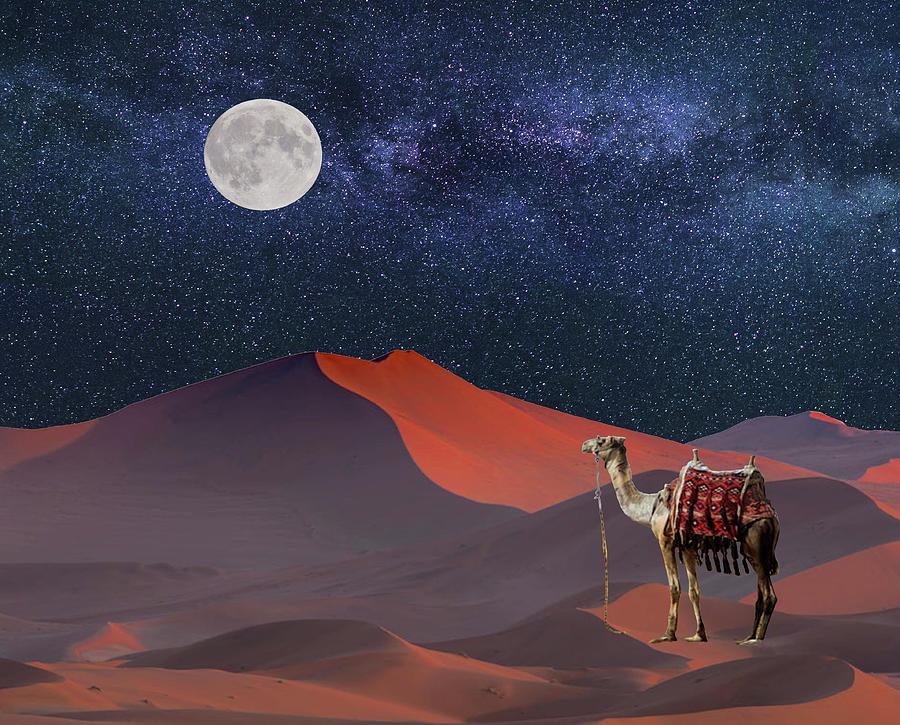 The Sahara Star Gazer Digital Art by Glenn Holbrook