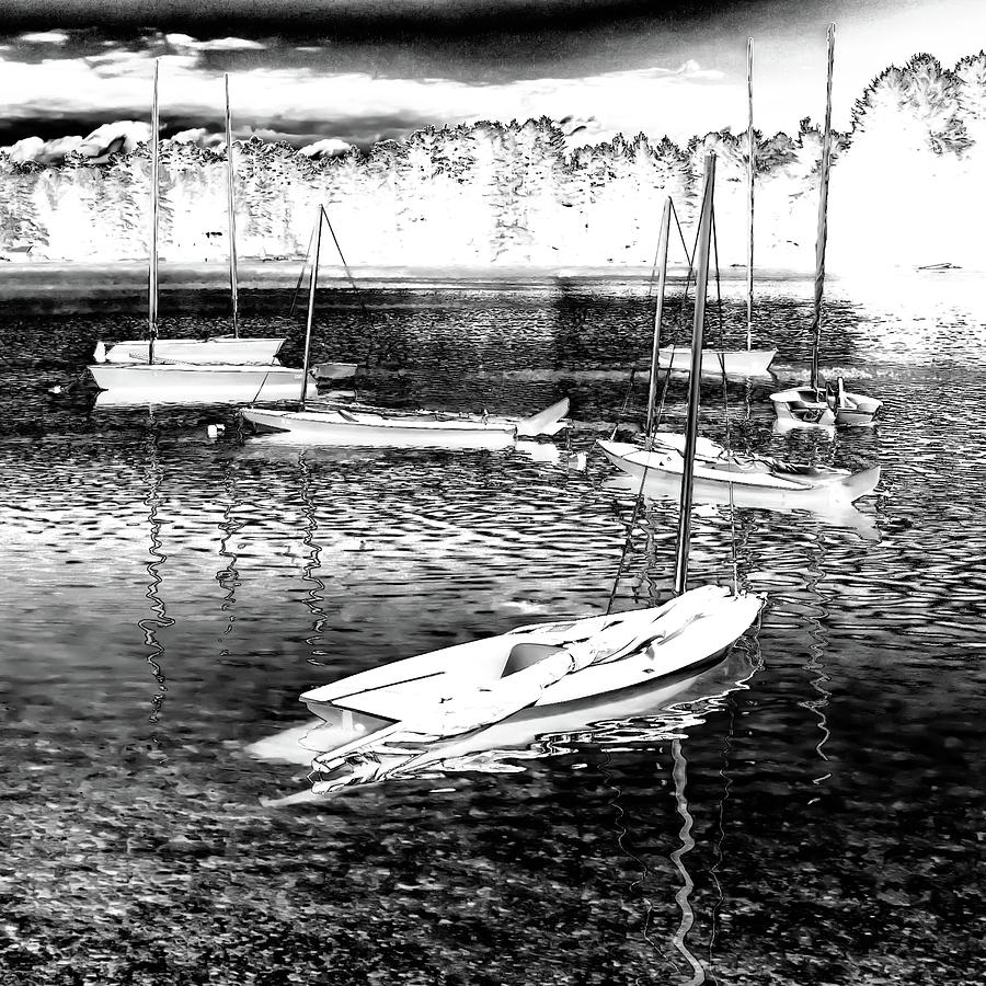 Black And White Photograph - The Sailboats by David Patterson