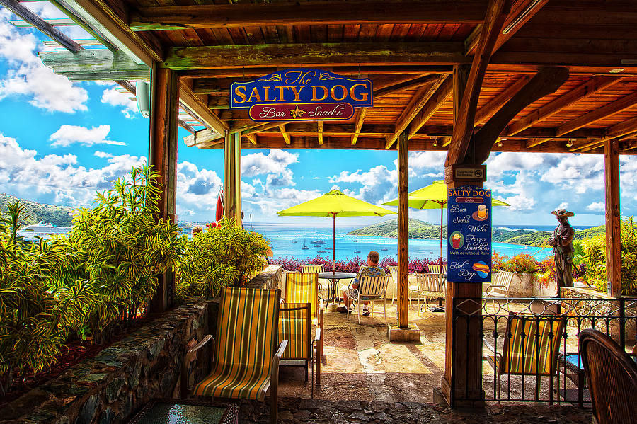 The Salty Dog Cafe St. Thomas Photograph by Keith Allen