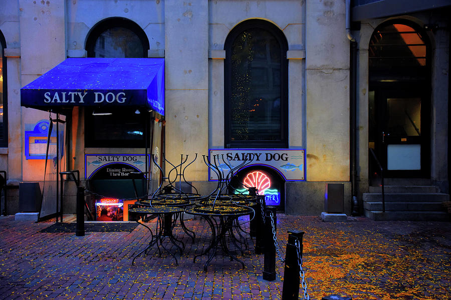 Boston Photograph - The Salty Dog  by Tim Ford