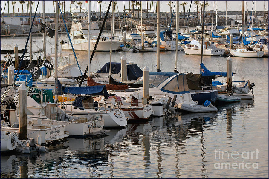 Boat Photograph - The San diego Area by Luv Photography
