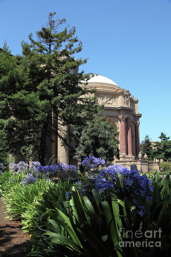 The San Francisco Palace of Fine Arts 5D18050 Photograph by San Francisco