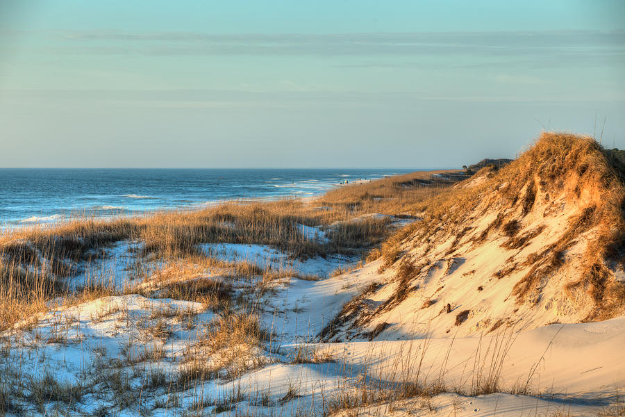The Sand Dunes of St Joe State Park Photograph by JC Findley