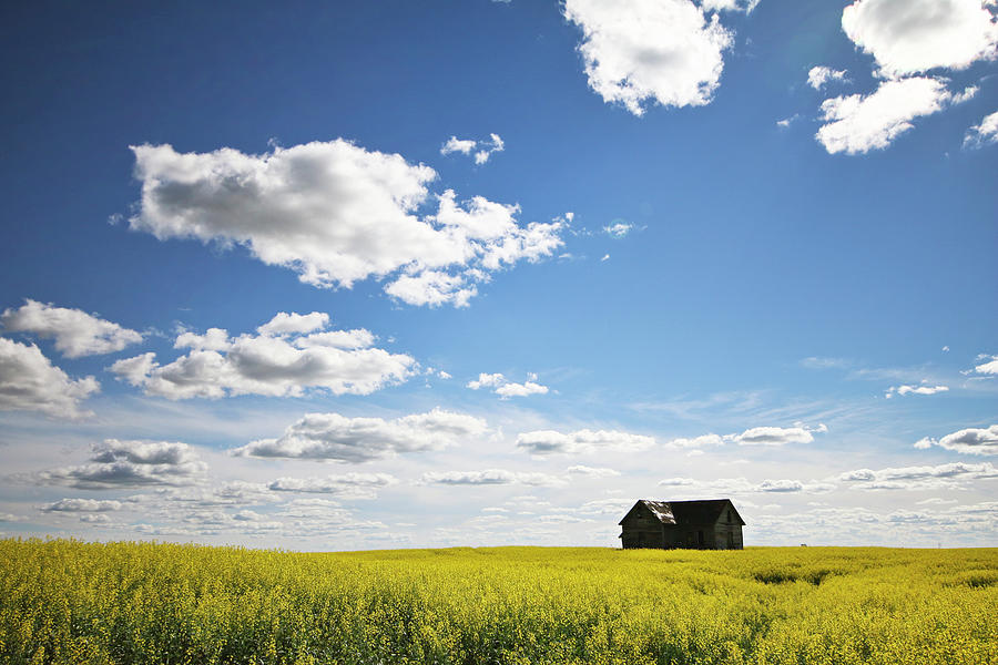 Farm Photograph - The Saskatchewan Prairies II by Ryan Crouse