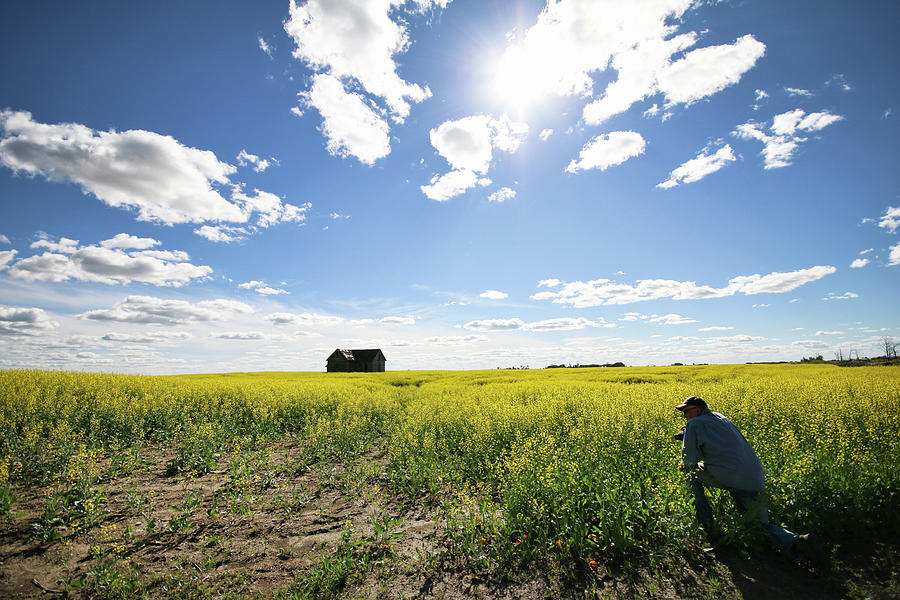 The Saskatchewan Prairies Photograph by Ryan Crouse