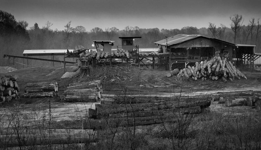 The Sawmill in Nacogdoches Photograph by Nadalyn Larsen