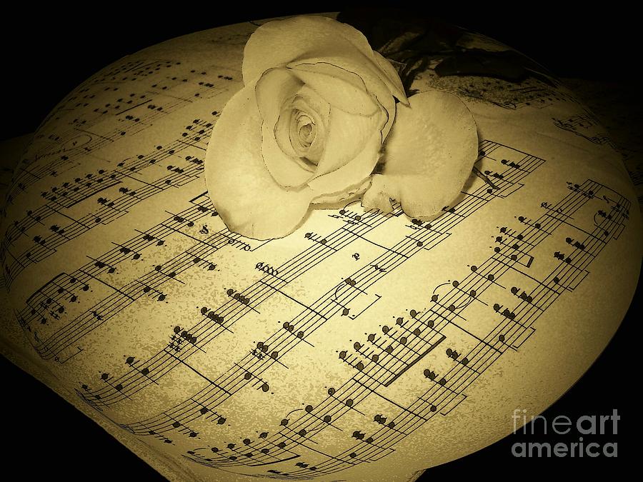 The Schubert Rose in Sepia Photograph by Joyce Kimble Smith