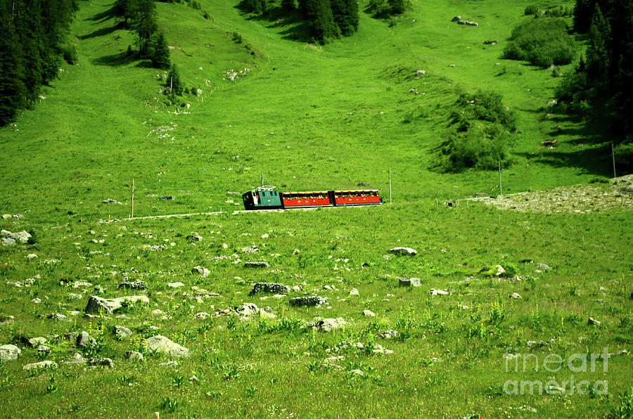 The Schynige Platte Railway Photograph by Michelle Meenawong