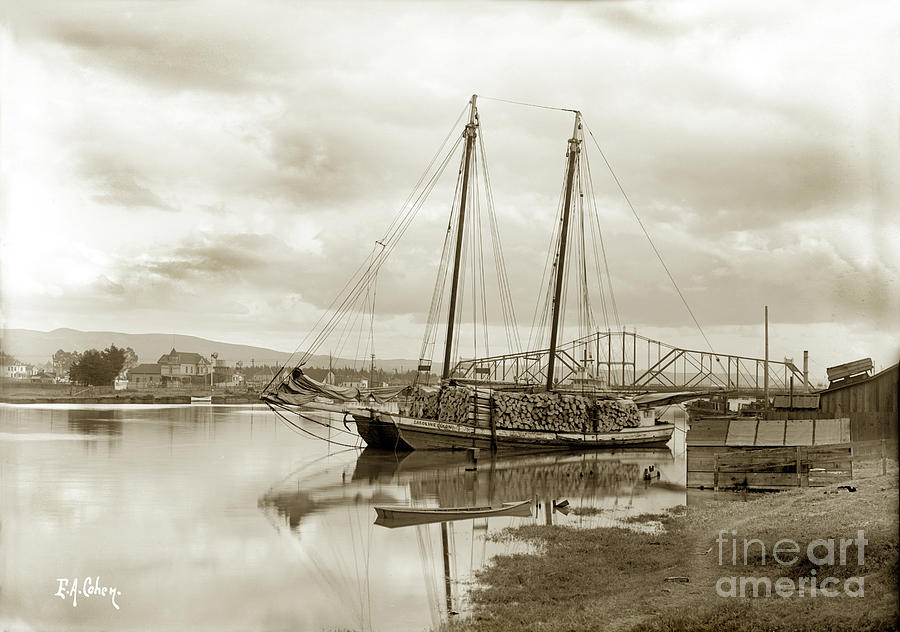Cohen Photograph -  The scow schooner Caroline Dixon  with load of wood for the match factory by Monterey County Historical Society