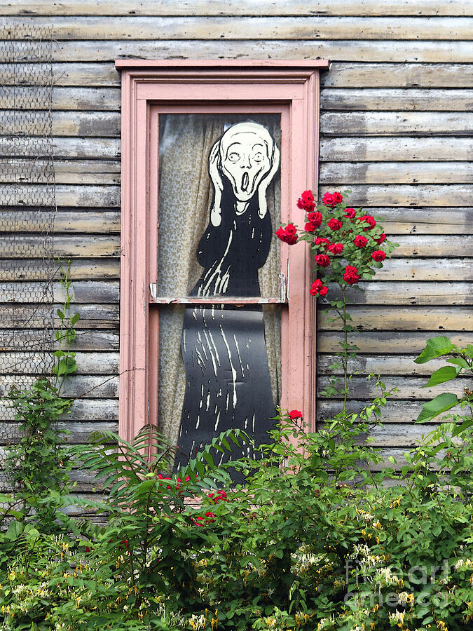 The Scream in the Window Photograph by Catherine Sherman