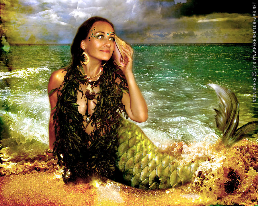 The Sea Is Calling by Nada Meeks The Sea Is Calling by Nada Meeks