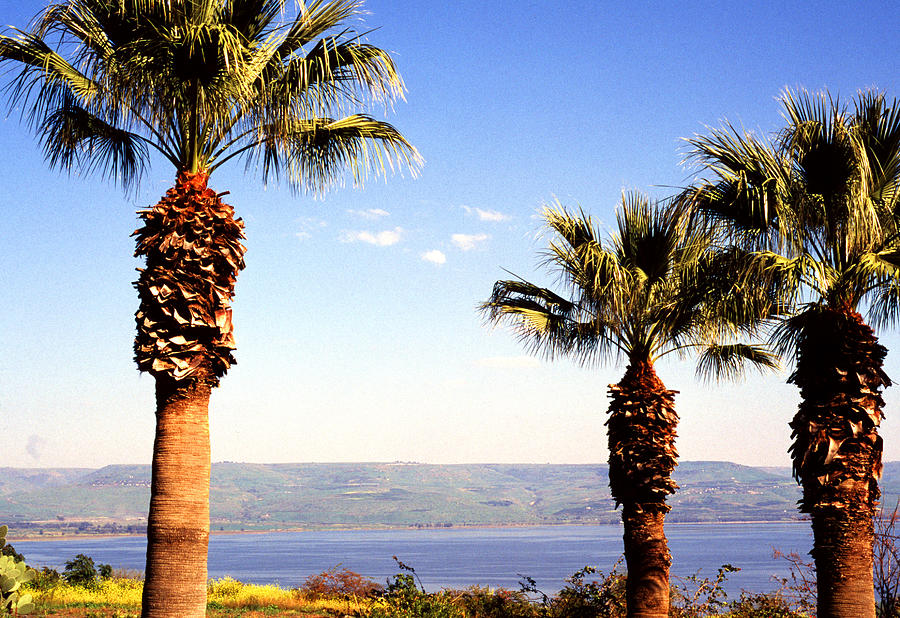 The Sea of Galilee from the Mount of the Beatitudes Photograph by Thomas R Fletcher