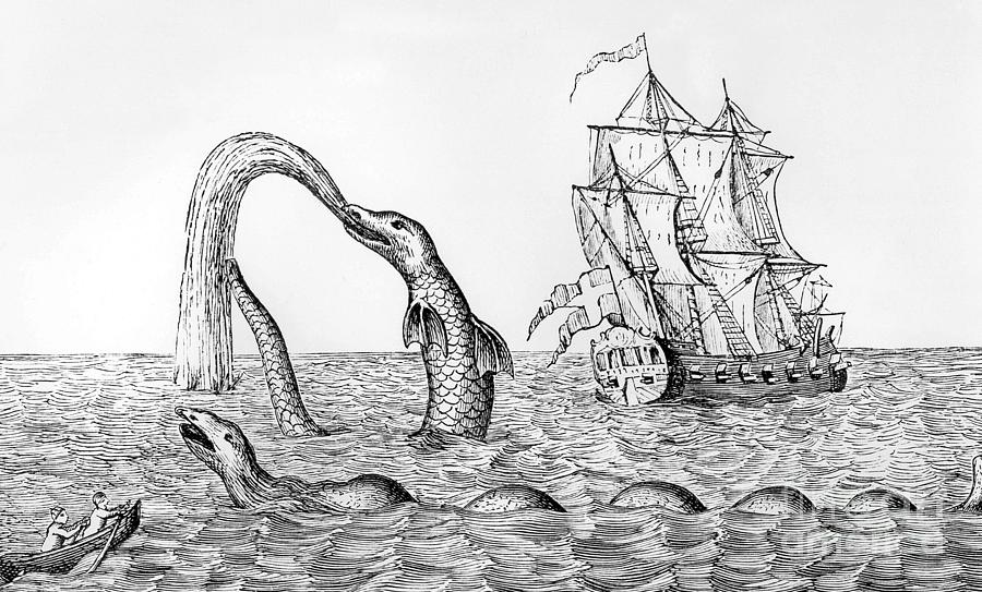 Snake Drawing - The Sea Serpent by English School