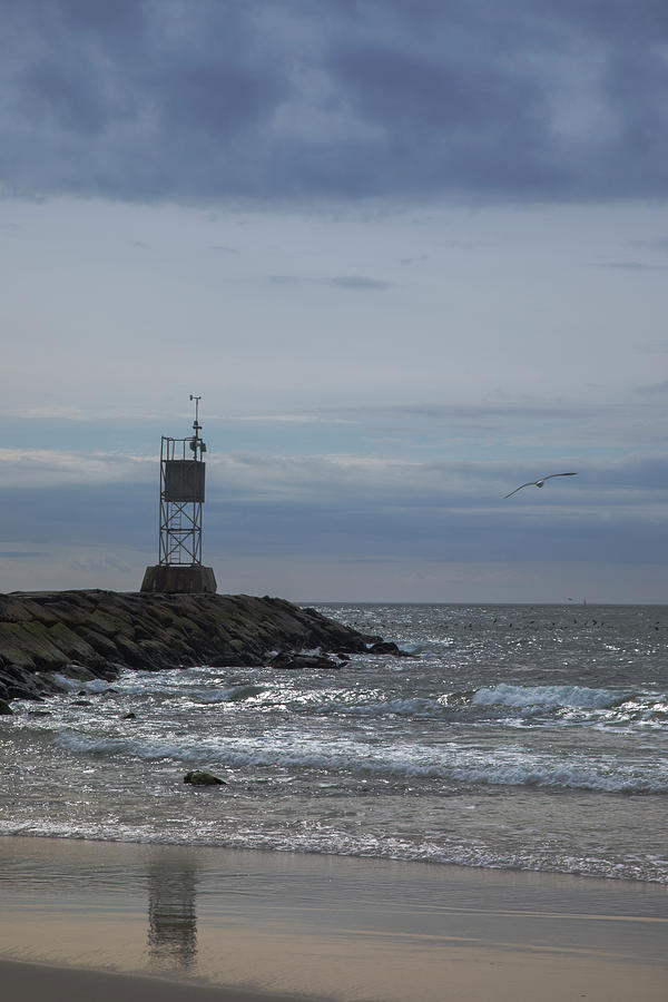The seagull and the beacon Photograph by Steve Gravano