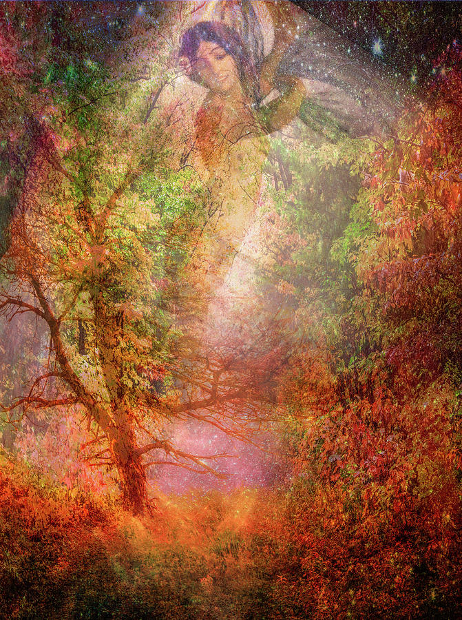 The Seasons Fall Digital Art by Debra and Dave Vanderlaan