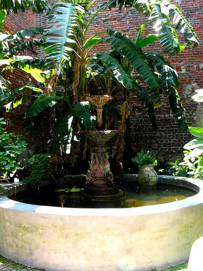 The Secret Garden Photograph by C Thomas Cooney The Secret Garden Photograph by C Thomas Cooney