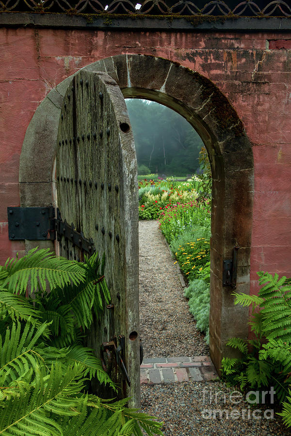 The Secret Garden Photograph by Elizabeth Dow