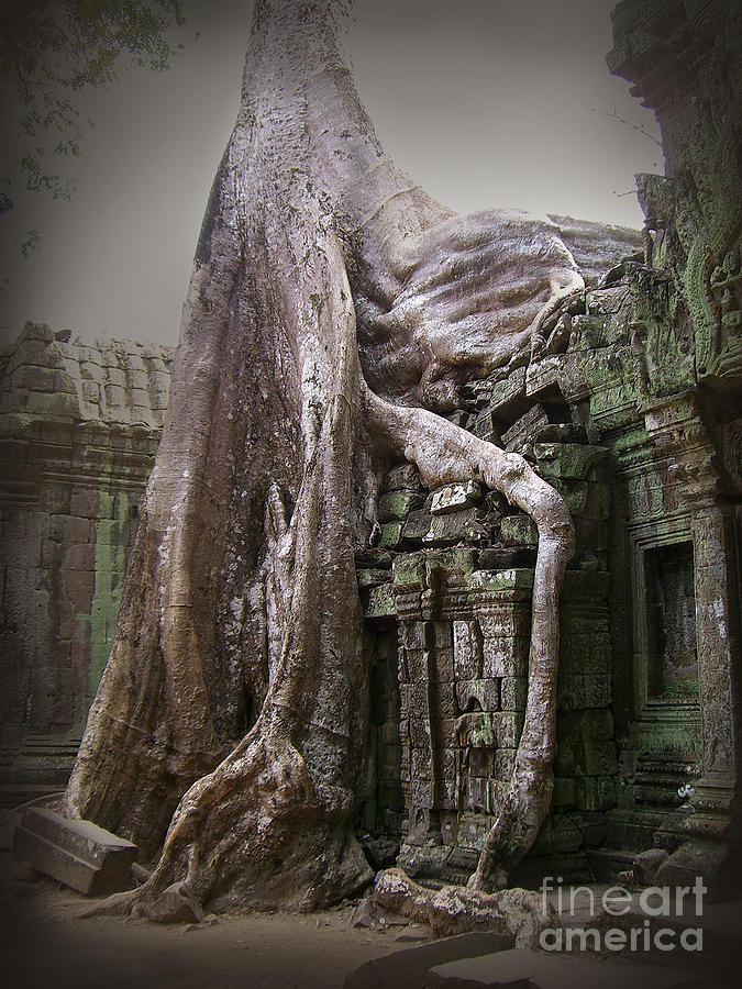 The Secrets of Angkor Photograph by Eena Bo