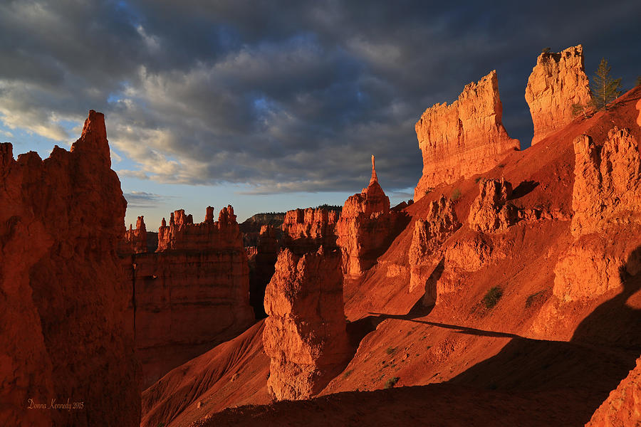 The Sentinel At Bryce Canyon Photograph by Donna Kennedy