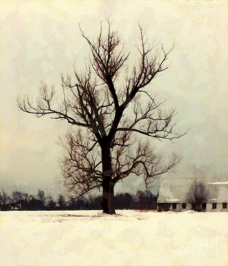 The Sentinel - lone Winter Tree Photograph by Janine Riley