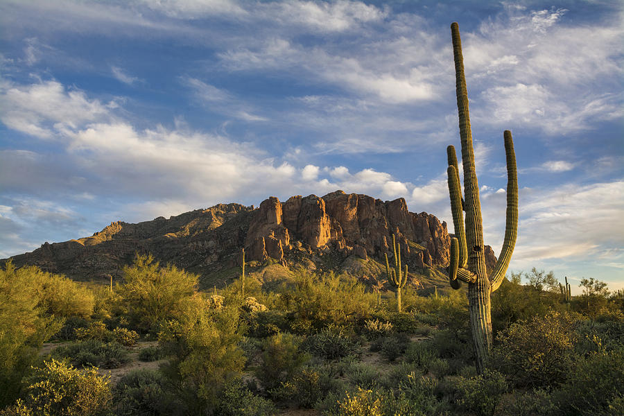 The Sentinels of the Superstitions Photograph by Saija Lehtonen - Fine ...