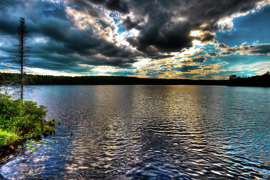 The Serenity of Nicks Lake Photograph by David Patterson
