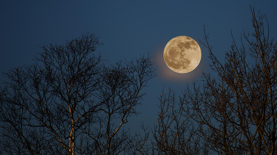 The Setting Moon Photograph by Jeff Galbraith