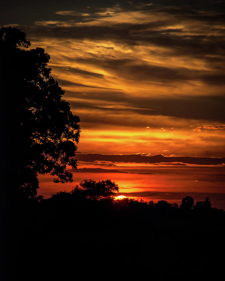 The Setting Sun Photograph by Mark Dodd