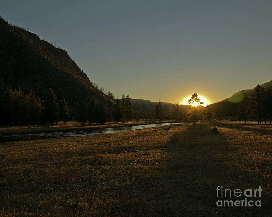 The setting sun on Yellowstone National Park Photograph by Thomas Coles