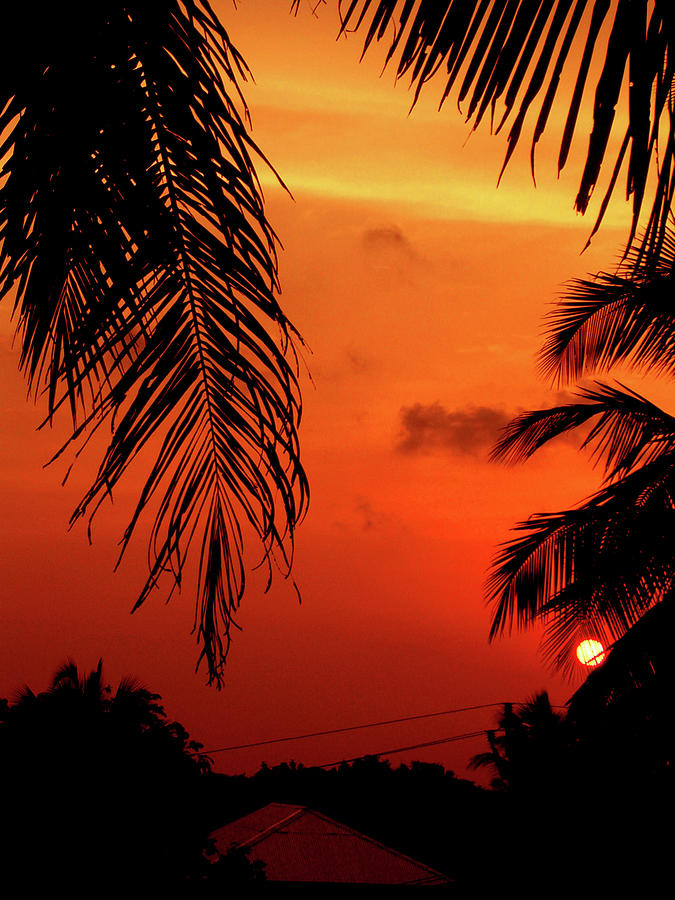 Sunset Photograph - The Setting Sun-potrait by Farah Faizal