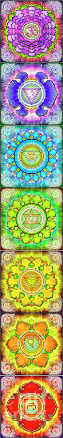 The Seven Chakras Banner Series Iii Digital Art By Dirk Czarnota