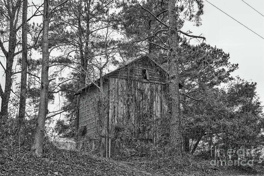 Architecture Photograph - The Shack In Black And White by Kathy Baccari